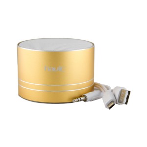 6950676221718-v4-1-bluetooh-speaker-gold-content-300×300